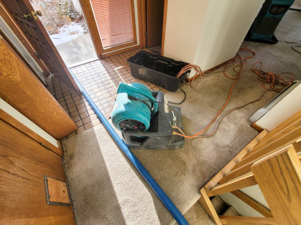 Best Water damage restoration insurance claims  in Soledad, CA