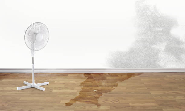 Best Sewage cleanup and water damage restoration  in Soledad, CA