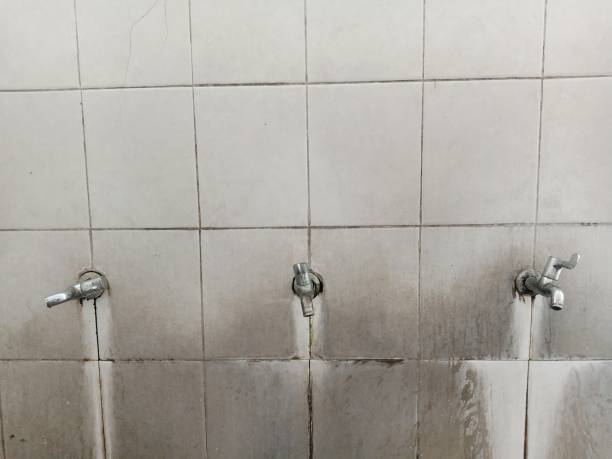Best Mold removal after water damage  in Soledad, CA