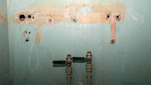 Best Water damage restoration company  in Soledad, CA