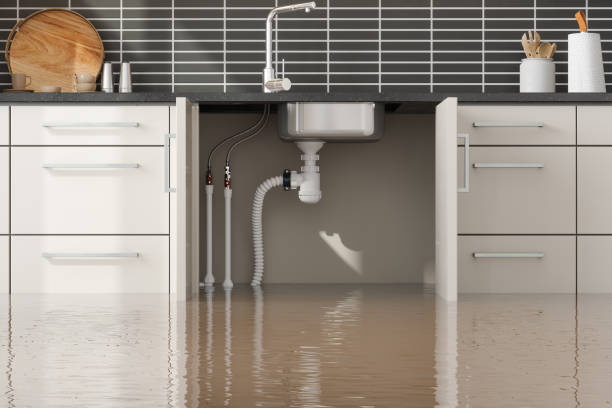 Best Water damage restoration near me  in Soledad, CA