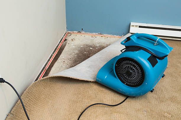 Best Basement water damage restoration  in Soledad, CA